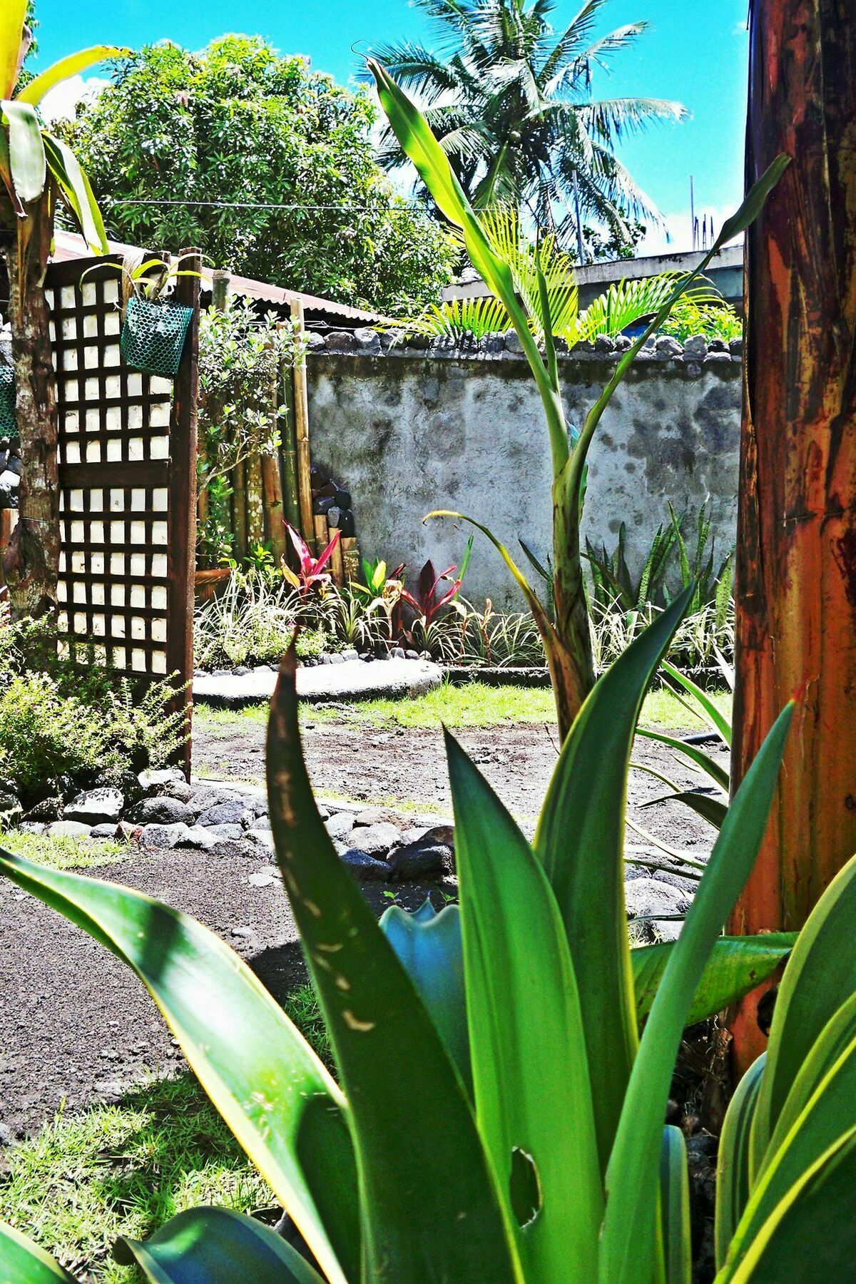 Balay De La Rama Bed & Breakfast Legazpi Exterior foto